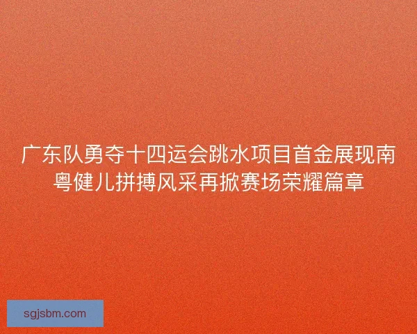 广东队勇夺十四运会跳水项目首金展现南粤健儿拼搏风采再掀赛场荣耀篇章